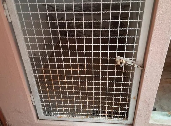 Beach,surf, Hiking And Масейра